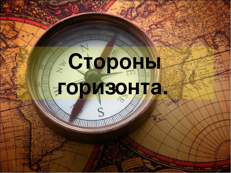 Стороны горизонта — основные и промежуточные