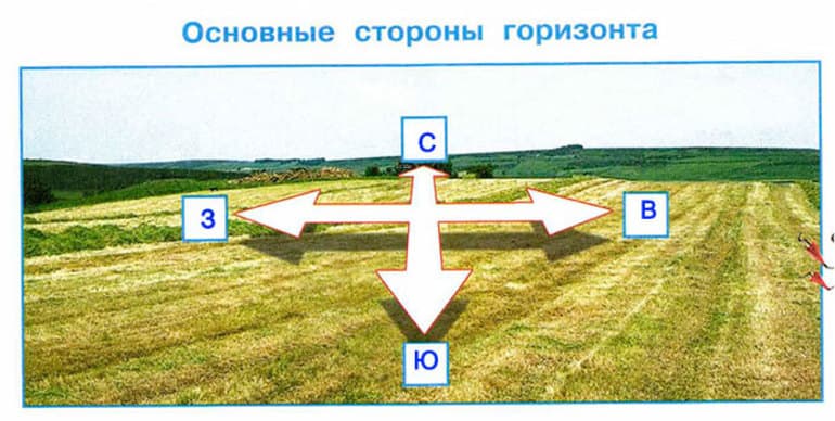 Стороны горизонта — основные и промежуточные