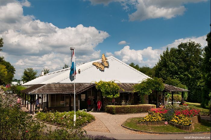 Страны Бенилюкс – описание, какие страны входят в состав кратко для доклада детям (3 класс, окружающий мир)