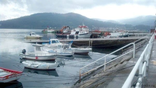 Страны Зарубежной Европы, имеющие выход к морю (расположенные на морских побережьях)