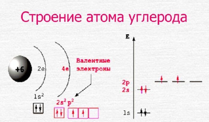 Строение атома углерода, свойства и схема элемента
