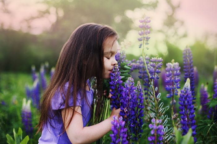 Строение организма человека – как устроена система органов, особенности и функции кратко для детей (3 класс, окружающий мир)