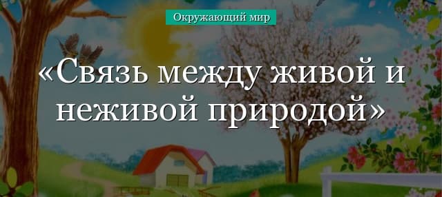 Связь между живой и неживой природой – способы, почва во взаимосвязи объектов