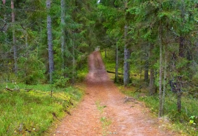 Связь природы с человеком &ndash; примеры для детей кратко (2 класс, окружающий мир)