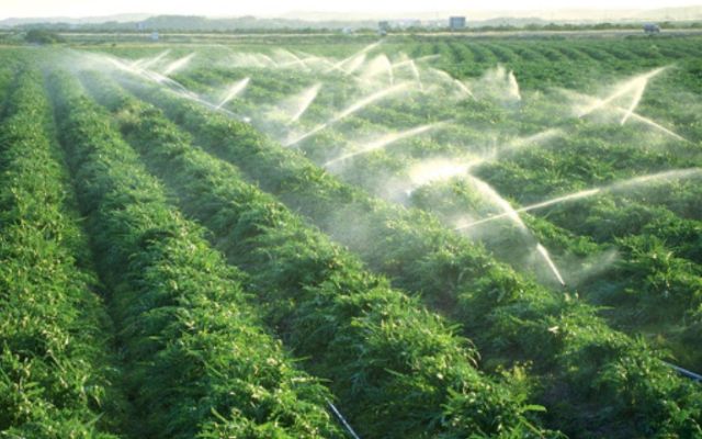 Связь природы с человеком &ndash; примеры для детей кратко (2 класс, окружающий мир)