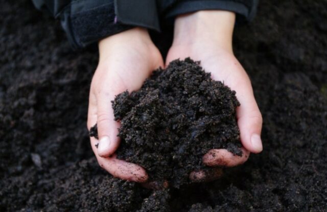 Свойства почвы – от чего зависит состав кратко (3 класс, окружающий мир)