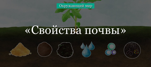 Свойства почвы – от чего зависит состав кратко (3 класс, окружающий мир)