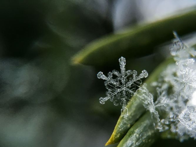 Свойства снега и льда &ndash; описание для школьников кратко (1-3 класс, окружающий мир)