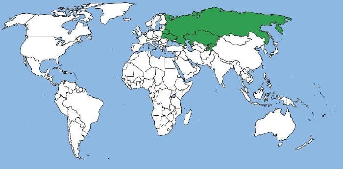 Таблица Формирование территории России (8 класс, география)