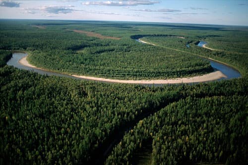 Таблица &ldquo;Характеристика природных зон мира&rdquo;, их особенности