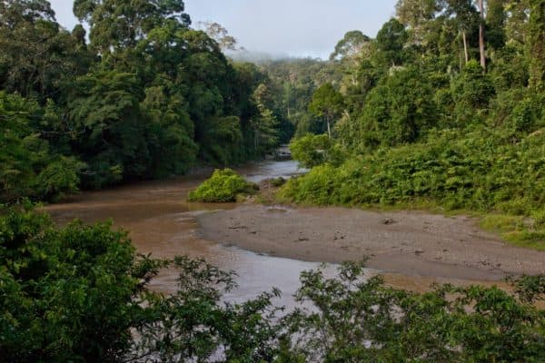 Таблица &ldquo;Характеристика природных зон мира&rdquo;, их особенности