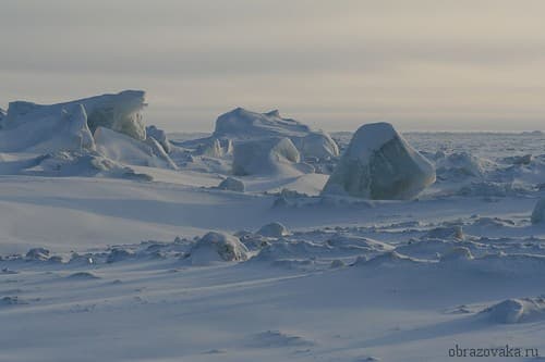 Таблица &ldquo;Природные зоны мира&rdquo; (8 класс), харакетристика Земли по географии