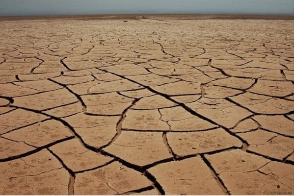 Таблица &ldquo;Природные зоны мира&rdquo; (8 класс), харакетристика Земли по географии