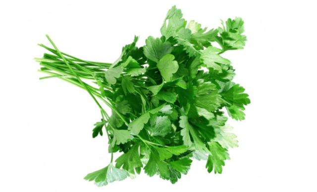 Теплолюбивые и холодостойкие растения &ndash; список, примеры кратко для доклада (3 класс, окружающий мир)