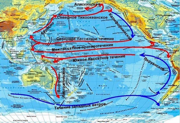 Тихий океан &mdash; общие характеристики и особенности органического мира