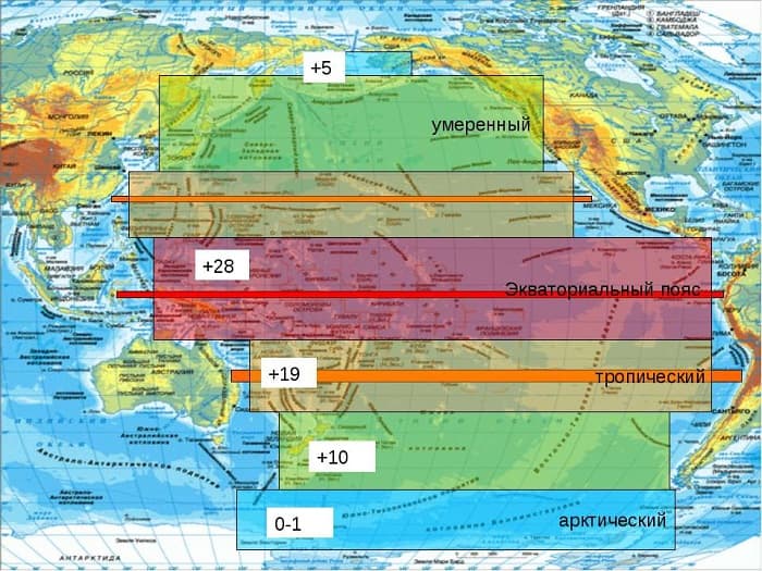 Тихий океан &mdash; общие характеристики и особенности органического мира