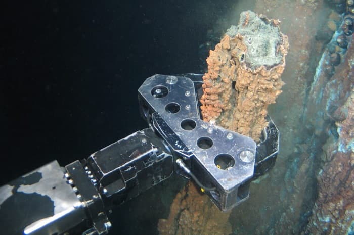 Тихий океан &mdash; общие характеристики и особенности органического мира