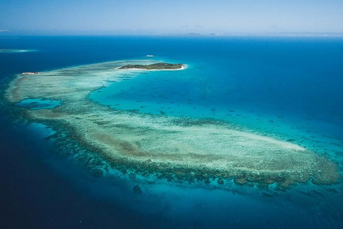 Тихий океан &mdash; общие характеристики и особенности органического мира
