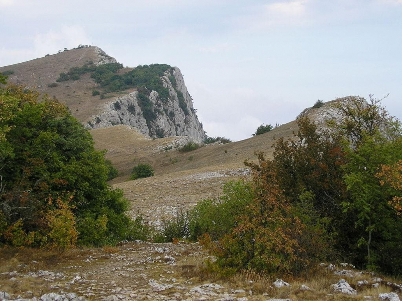 Тундра — характеристика природной зоны, особенности климата, флоры, фауны