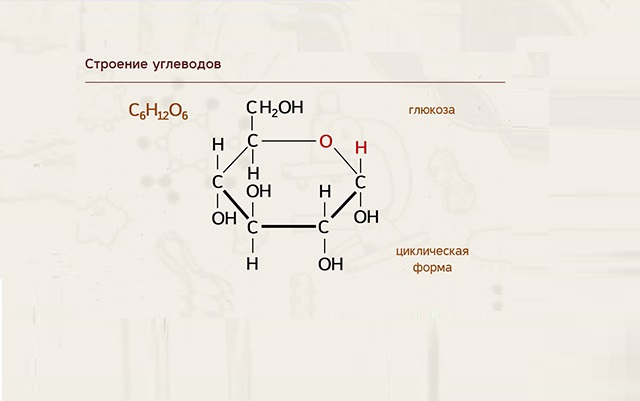 Углеводы &ndash; формула молекулы в химии (10 класс)