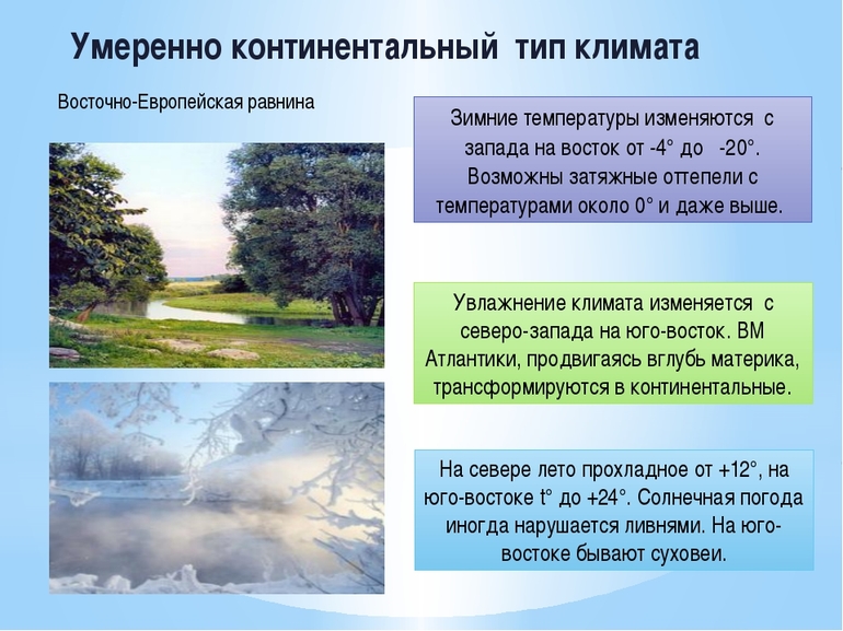Умеренно-континентальный климат &mdash; характеристика, описание и особенности условий