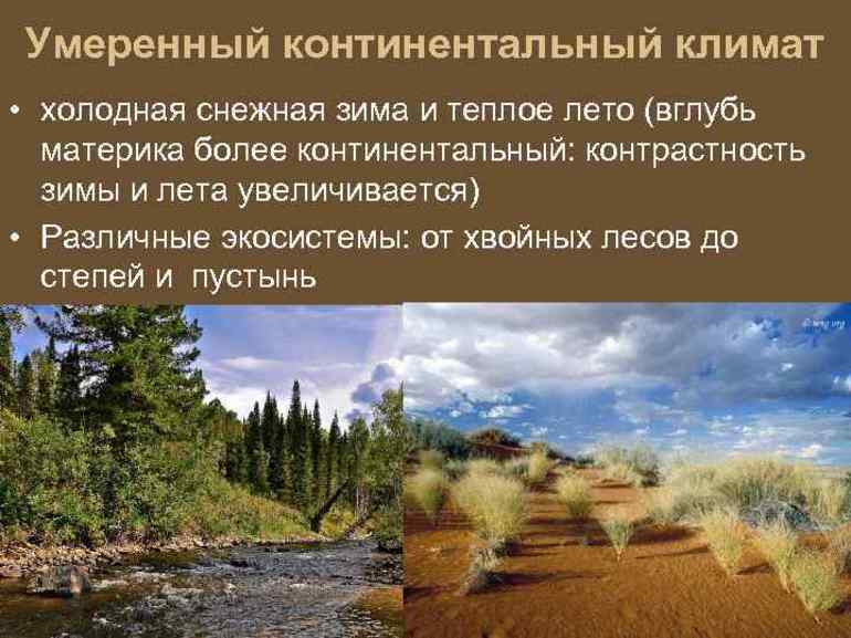 Умеренно-континентальный климат &mdash; характеристика, описание и особенности условий