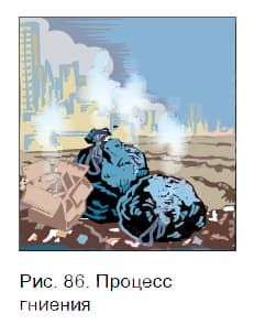 Урок 20. Окислительные процессы