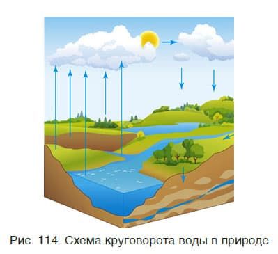 Урок 30. Вода в природе