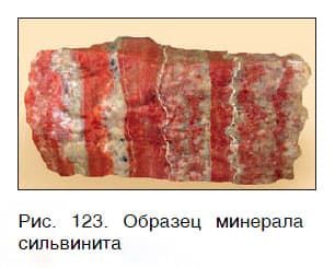 Урок 39. Соли