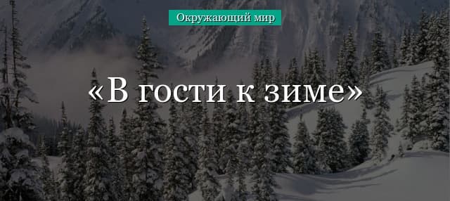 В гости к зиме (окружающий мир, 1 класс)