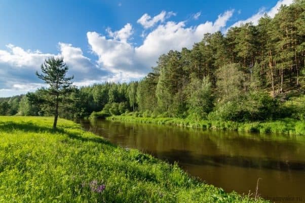В какой природной зоне находится Екатеринбург