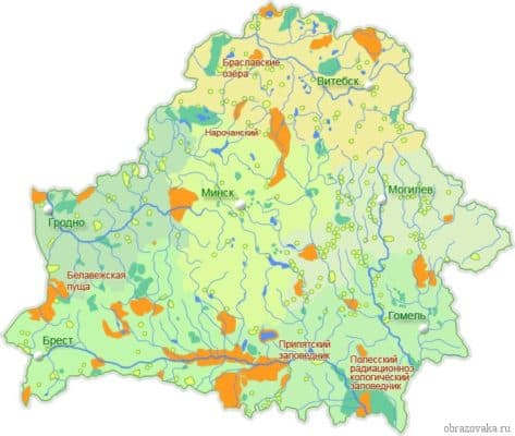 В какой природной зоне расположена Беларусь, где находится Белоруссия