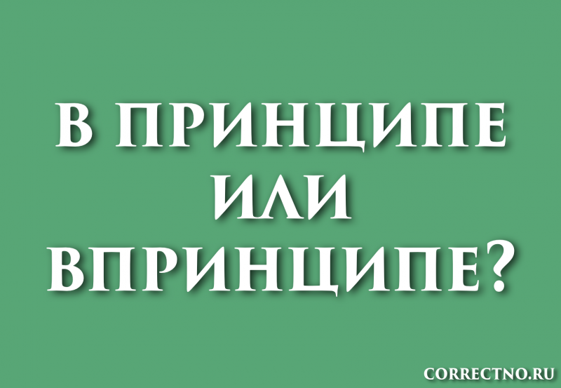 В принципе, впринципе или впринципи: как правильно пишется слово?