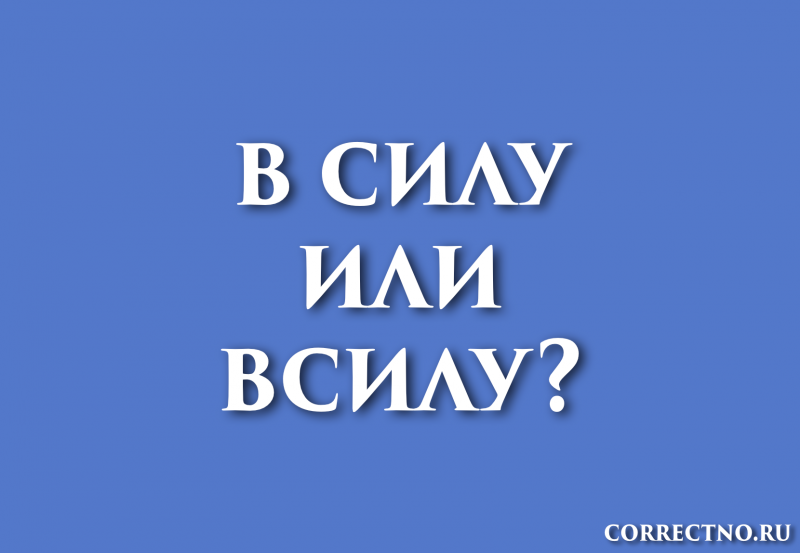 В силу или всилу: как правильно пишется слово?