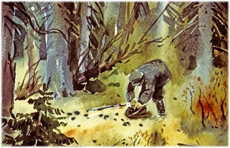 «Васюткино озеро» — краткое содержание произведения В.П. Астафьева