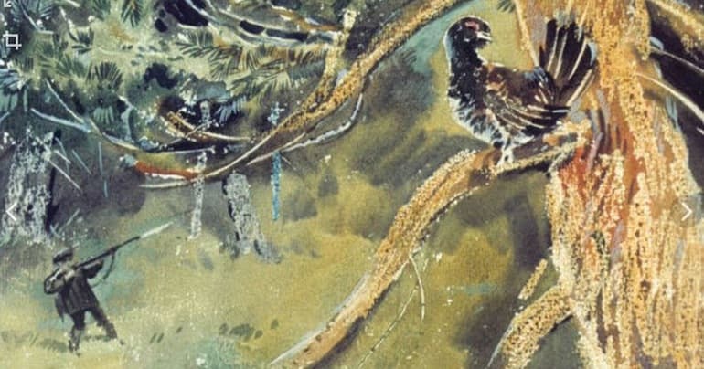 «Васюткино озеро» — краткое содержание произведения В.П. Астафьева