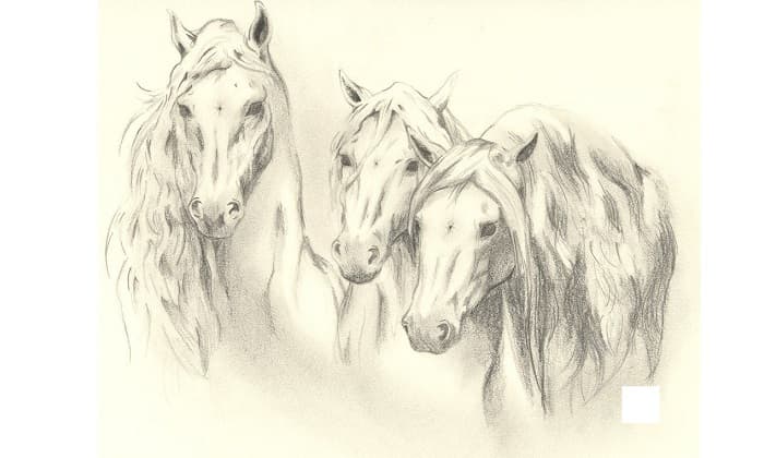 &laquo;Великолепная шестерка&raquo; &mdash; краткое содержание рассказа Бориса Васильева