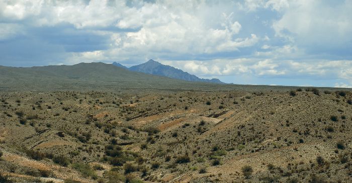 Виды почв – какие бывают, основные характеристики, типы и определения кратко (4 класс, окружающий мир)
