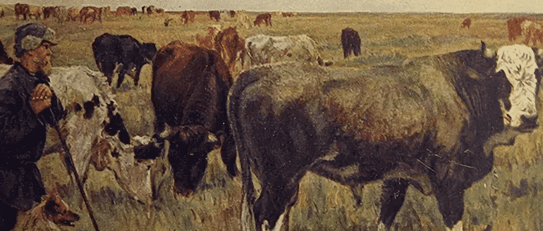 Владимиро-Суздальское княжество &mdash; положение, экономические и политические особенности