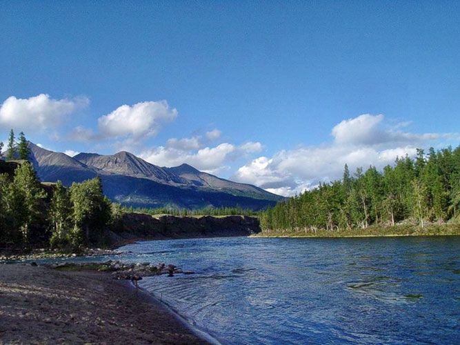 Влияние человека на природу – примеры положительного и отрицательного воздействия кратко (7 класс, география)