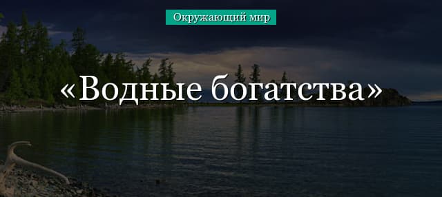 Водные богатства (2 класс, окружающий мир)