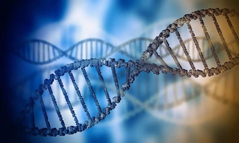 Водородная связь в химии &mdash; как и где образуется, свойства, примеры