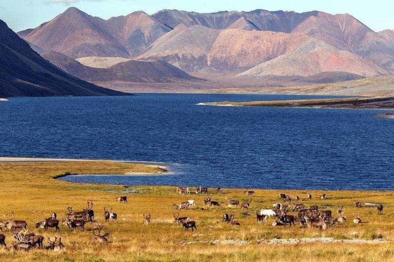 Восточная сибирь &mdash; географическое положение, общая характеристика