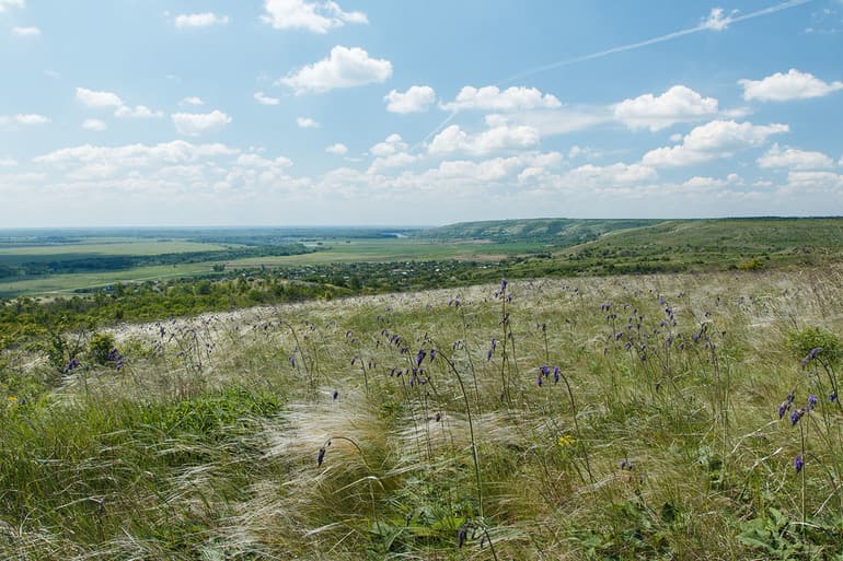 Восточно-Европейская равнина — описание и особенности географического положения