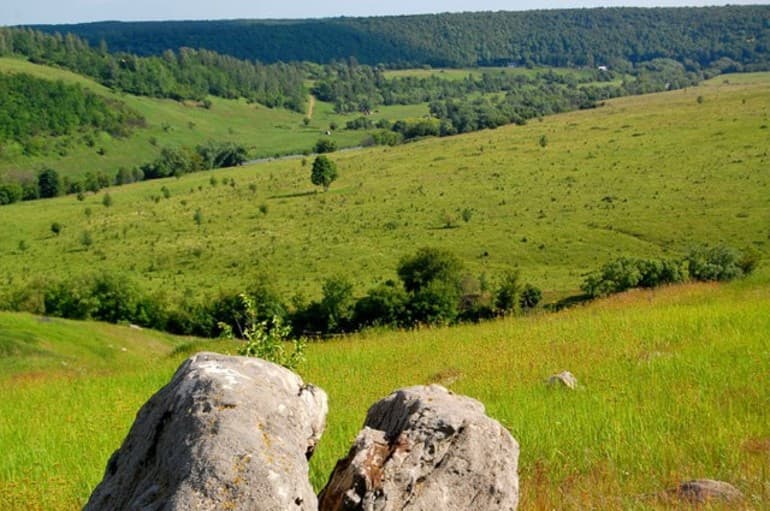 Восточно-Европейская равнина — описание и особенности географического положения