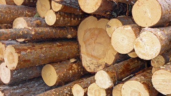 Восточно-сибирский экономический район &ndash; состав, характеристика, проблемы и ЭГП