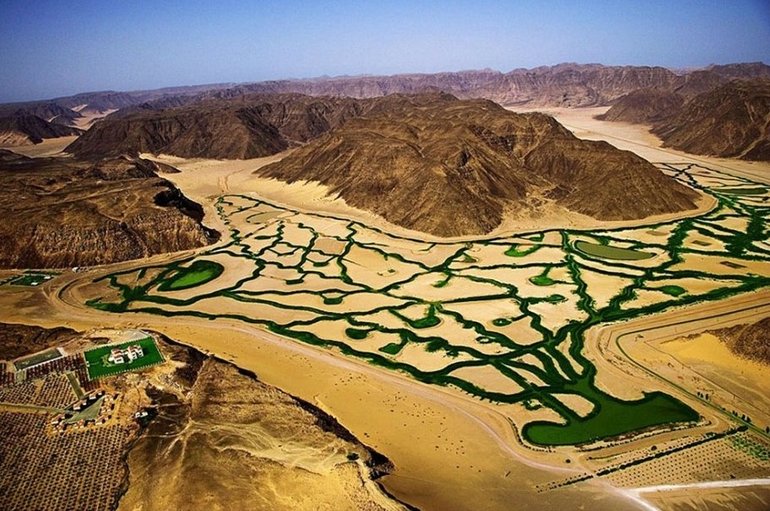 Воздействие человека на природу &mdash; кратко о влиянии, характеристике и последствиях