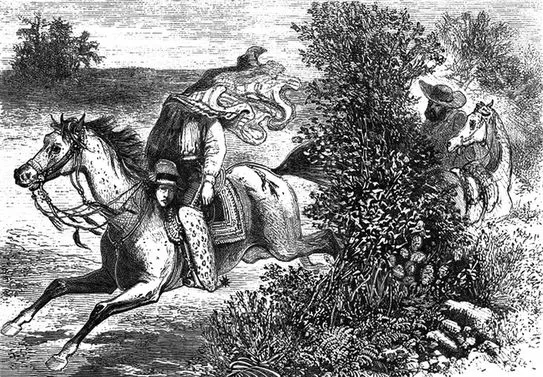 «Всадник без головы» Томаса Майн Рида — краткое содержание