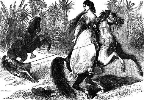 «Всадник без головы» Томаса Майн Рида — краткое содержание