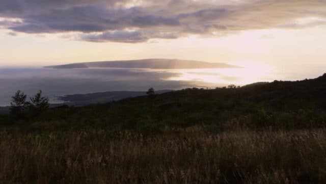 Взаимодействие общества и природы, проблемы экологического взаимодействия человека и природы для 10 класса